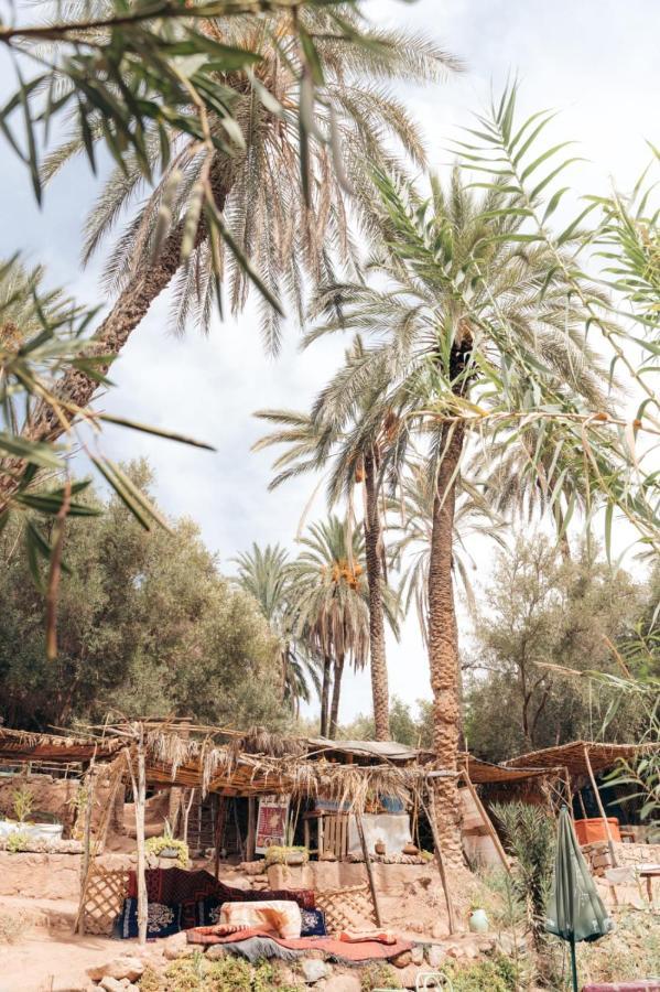 بيت شباب Arima Surf House Tamraght المظهر الخارجي الصورة